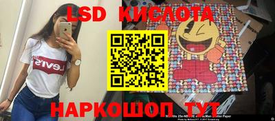 твердый Новодвинск