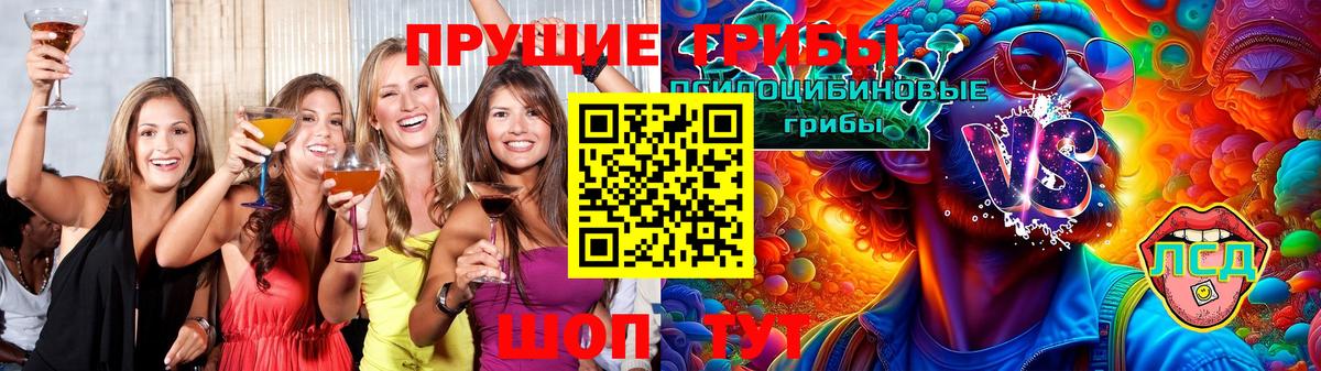 Галлюциногенные грибы прущие грибы Петрозаводск