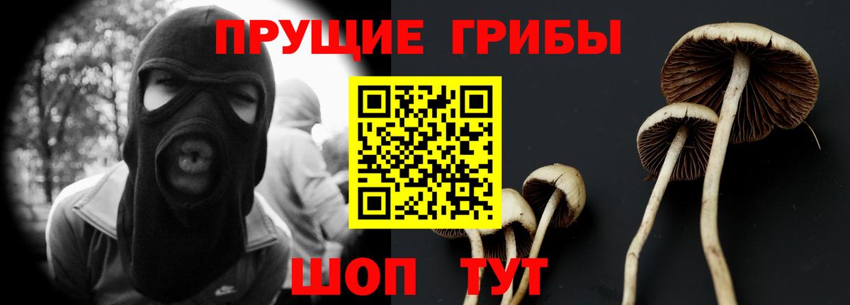 Псилоцибиновые грибы GOLDEN TEACHER  Галлюциногенные грибы MAGIC MUSHROOMS  Петрозаводск  Вход с VPN 