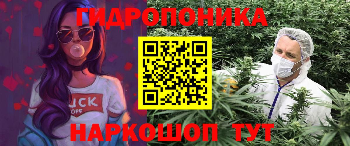 Каннабис тримм  Каннабис Bruce Banner  Петрозаводск  Вход с VPN  Канабис тримм 